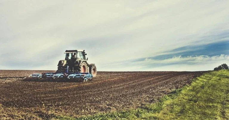 Земля в Україні різко подорожчала: де гектар уже коштує понад 260 тисяч грн