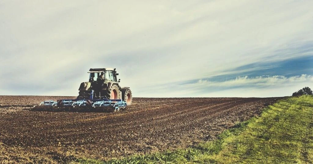 Земля в Україні різко подорожчала: де гектар уже коштує понад 260 тисяч грн