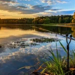 Після негоди риба може залишитися біля берега: які місця варто перевірити першими